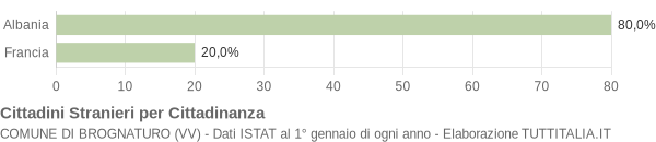 Grafico cittadinanza stranieri - Brognaturo 2009