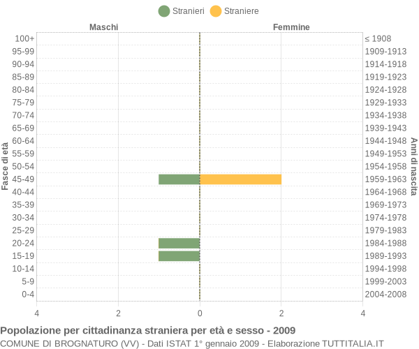 Grafico cittadini stranieri - Brognaturo 2009