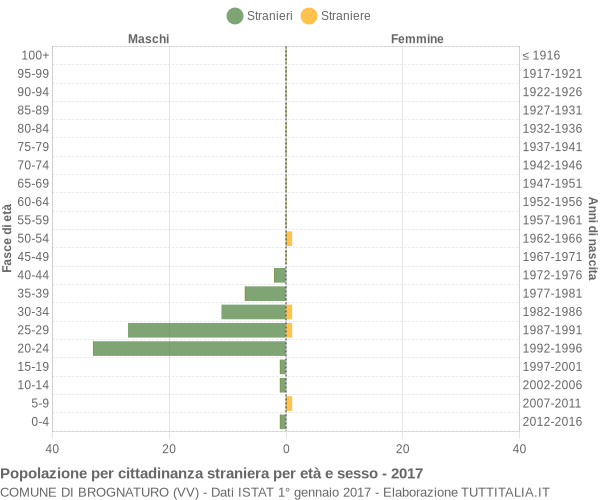 Grafico cittadini stranieri - Brognaturo 2017