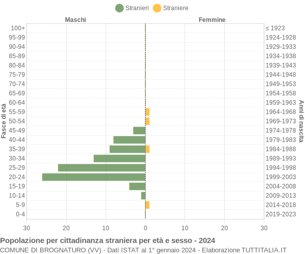 Grafico cittadini stranieri - Brognaturo 2024