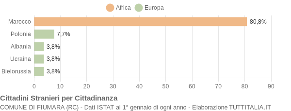 Grafico cittadinanza stranieri - Fiumara 2004