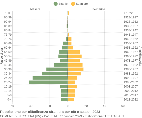 Grafico cittadini stranieri - Nicotera 2023