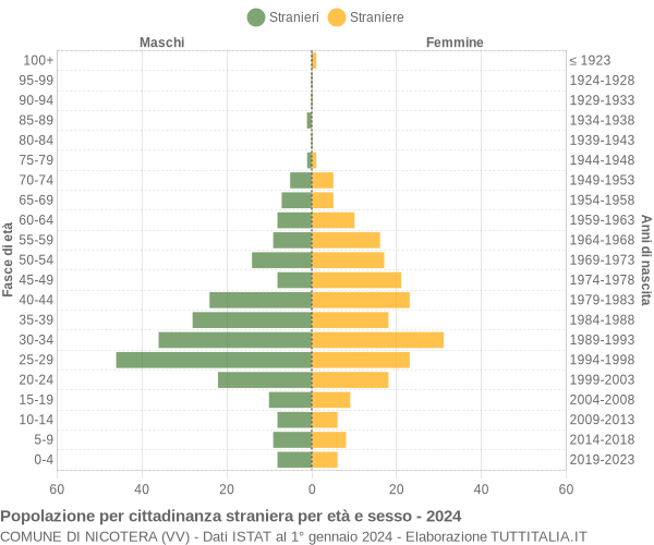 Grafico cittadini stranieri - Nicotera 2024