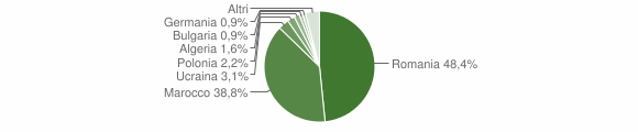 Grafico cittadinanza stranieri - Rizziconi 2010