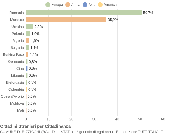 Grafico cittadinanza stranieri - Rizziconi 2011