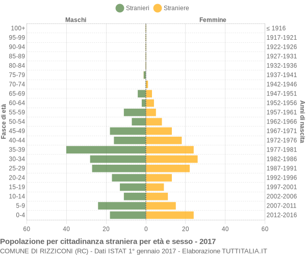 Grafico cittadini stranieri - Rizziconi 2017