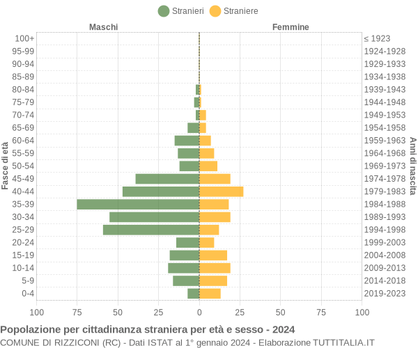 Grafico cittadini stranieri - Rizziconi 2024