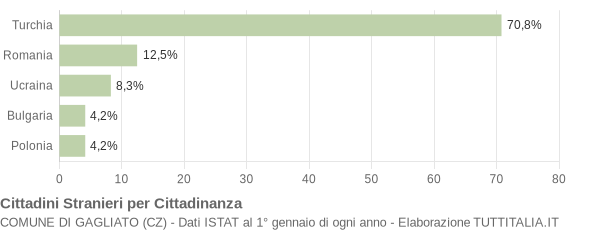 Grafico cittadinanza stranieri - Gagliato 2011