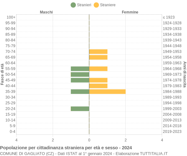 Grafico cittadini stranieri - Gagliato 2024