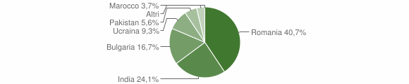 Grafico cittadinanza stranieri - Benestare 2011