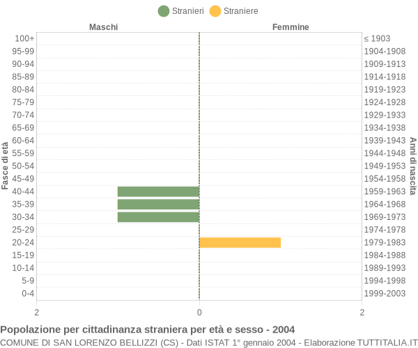 Grafico cittadini stranieri - San Lorenzo Bellizzi 2004