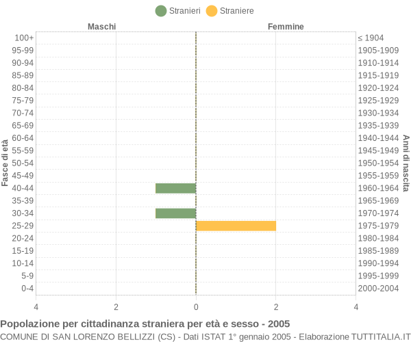 Grafico cittadini stranieri - San Lorenzo Bellizzi 2005