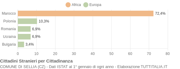 Grafico cittadinanza stranieri - Sellia 2008