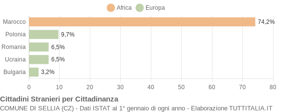 Grafico cittadinanza stranieri - Sellia 2010