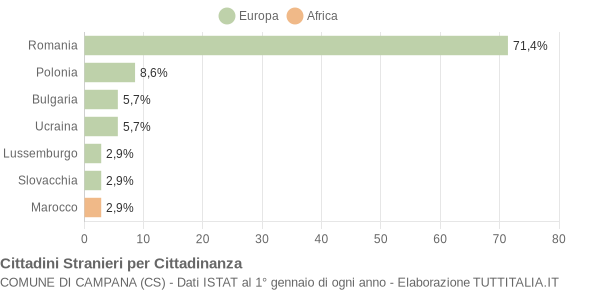 Grafico cittadinanza stranieri - Campana 2010