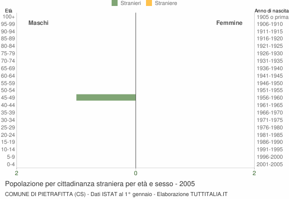 Grafico cittadini stranieri - Pietrafitta 2005
