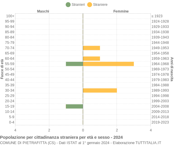 Grafico cittadini stranieri - Pietrafitta 2024