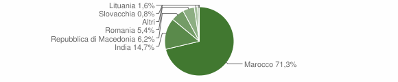 Grafico cittadinanza stranieri - Roghudi 2008