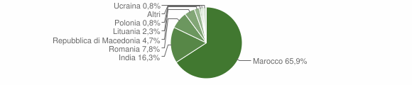 Grafico cittadinanza stranieri - Roghudi 2010