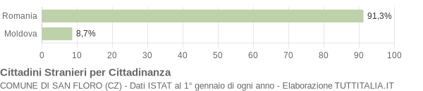 Grafico cittadinanza stranieri - San Floro 2013