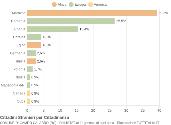 Grafico cittadinanza stranieri - Campo Calabro 2008