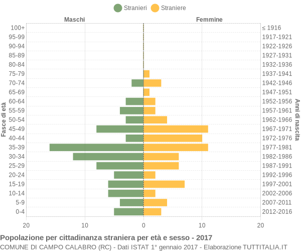 Grafico cittadini stranieri - Campo Calabro 2017