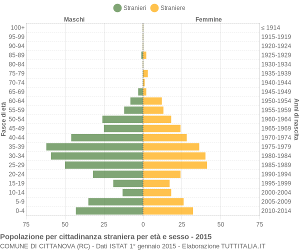 Grafico cittadini stranieri - Cittanova 2015