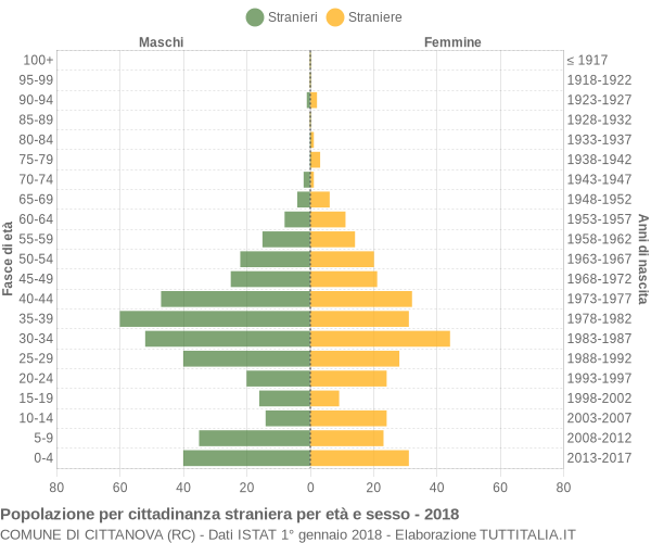 Grafico cittadini stranieri - Cittanova 2018