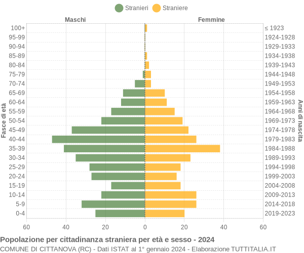 Grafico cittadini stranieri - Cittanova 2024