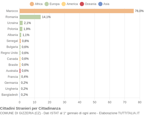 Grafico cittadinanza stranieri - Gizzeria 2008