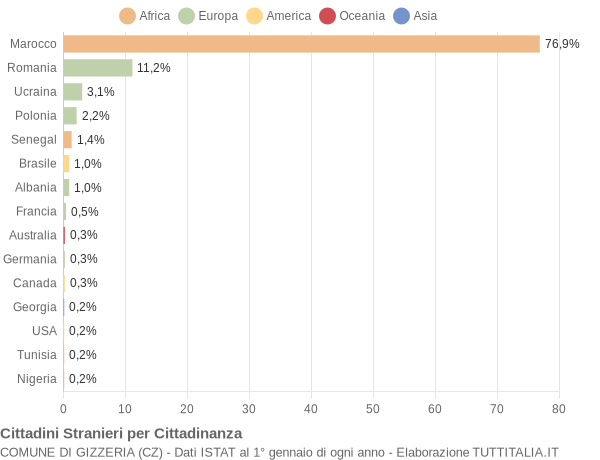 Grafico cittadinanza stranieri - Gizzeria 2010