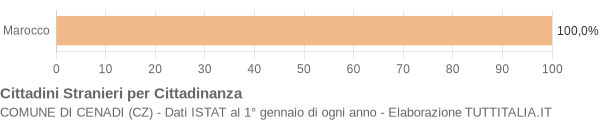 Grafico cittadinanza stranieri - Cenadi 2020