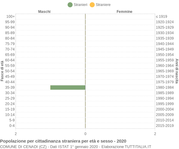 Grafico cittadini stranieri - Cenadi 2020