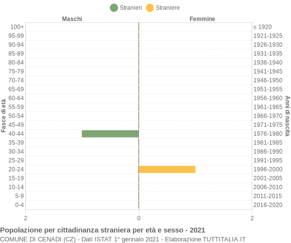 Grafico cittadini stranieri - Cenadi 2021