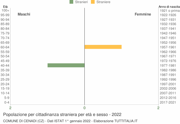 Grafico cittadini stranieri - Cenadi 2022