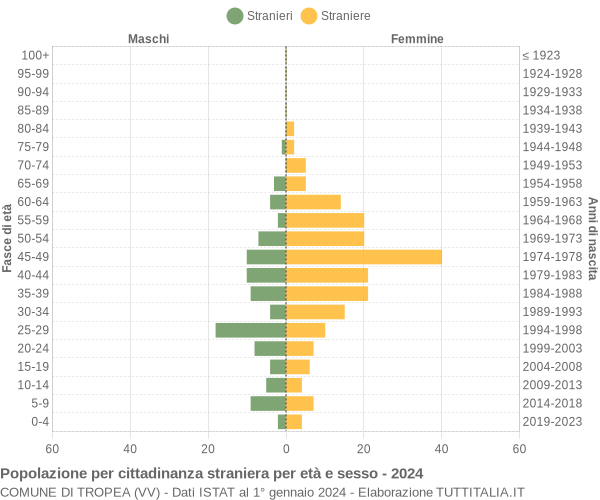 Grafico cittadini stranieri - Tropea 2024