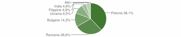 Grafico cittadinanza stranieri - Cosoleto 2013