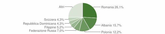 Grafico cittadinanza stranieri - Mendicino 2010