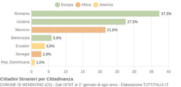 Grafico cittadinanza stranieri - Mendicino 2013