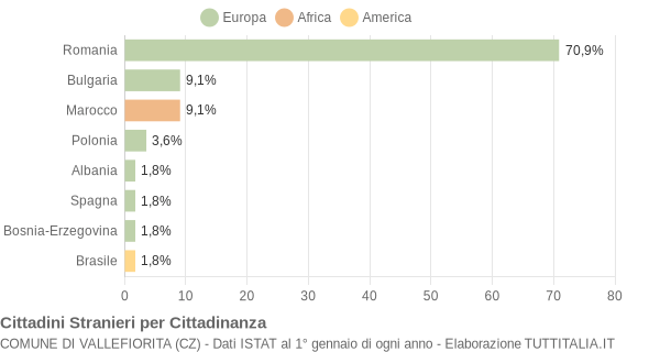 Grafico cittadinanza stranieri - Vallefiorita 2009