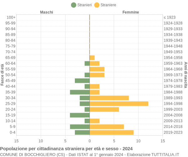 Grafico cittadini stranieri - Bocchigliero 2024