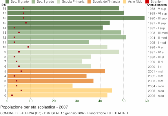 Grafico Popolazione in età scolastica - Falerna 2007