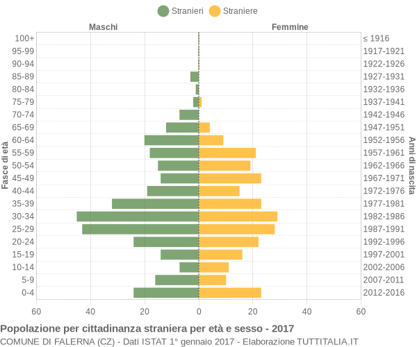 Grafico cittadini stranieri - Falerna 2017