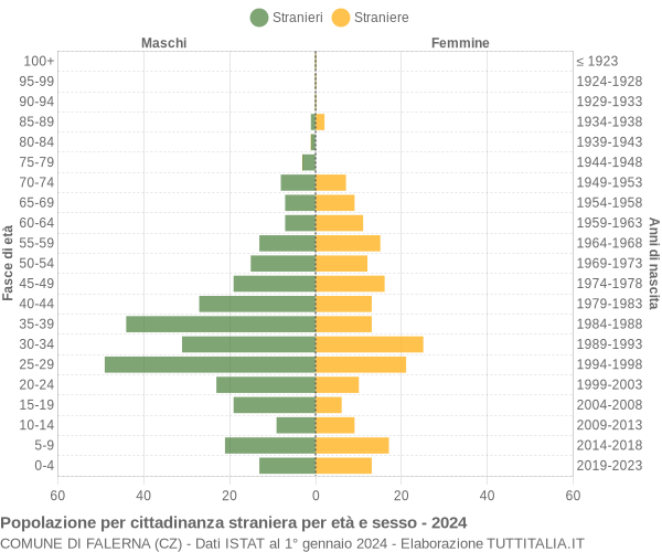 Grafico cittadini stranieri - Falerna 2024