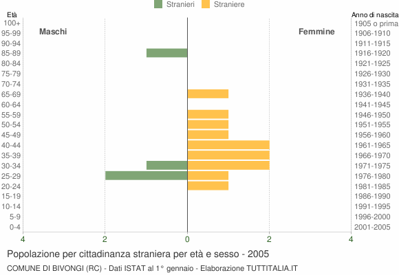 Grafico cittadini stranieri - Bivongi 2005