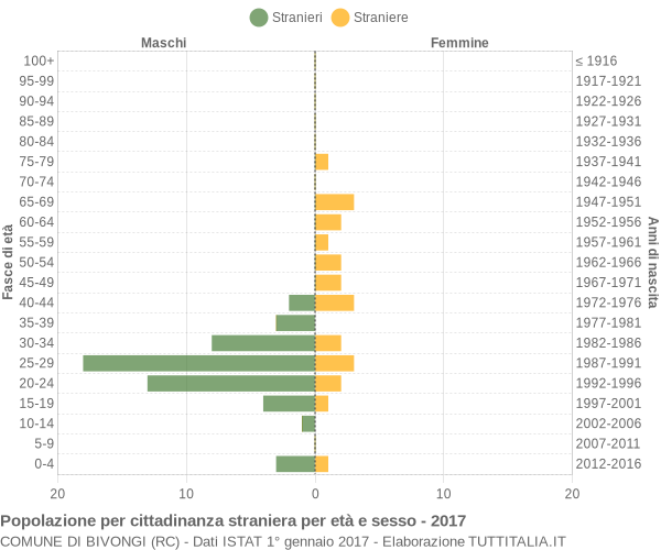 Grafico cittadini stranieri - Bivongi 2017