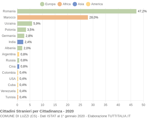 Grafico cittadinanza stranieri - Luzzi 2020