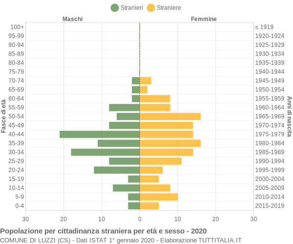 Grafico cittadini stranieri - Luzzi 2020