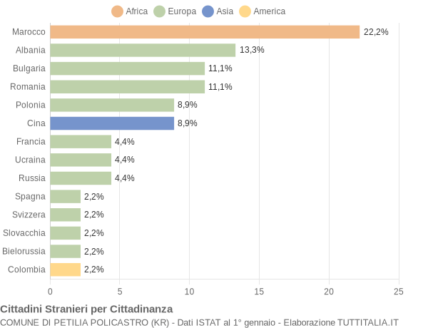 Grafico cittadinanza stranieri - Petilia Policastro 2008