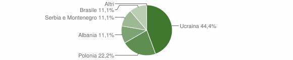 Grafico cittadinanza stranieri - Belsito 2007